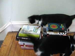 My cats, Pascal and Harriet, with a few of my books that deal with the topic of relativity.